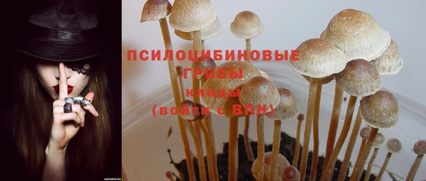 ГАЛЛЮЦИНОГЕННЫЕ ГРИБЫ Белоозёрский