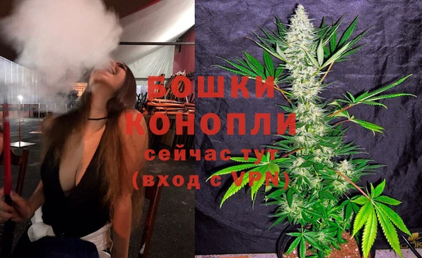 ГАЛЛЮЦИНОГЕННЫЕ ГРИБЫ Белоозёрский