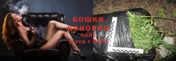 стафф Протвино
