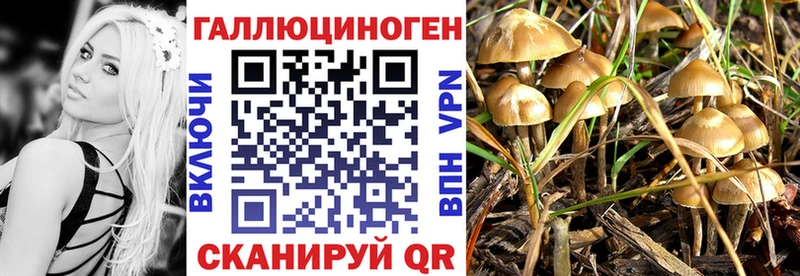 Купить где  Бугульма  Псилоцибиновые грибы Psilocybe 
